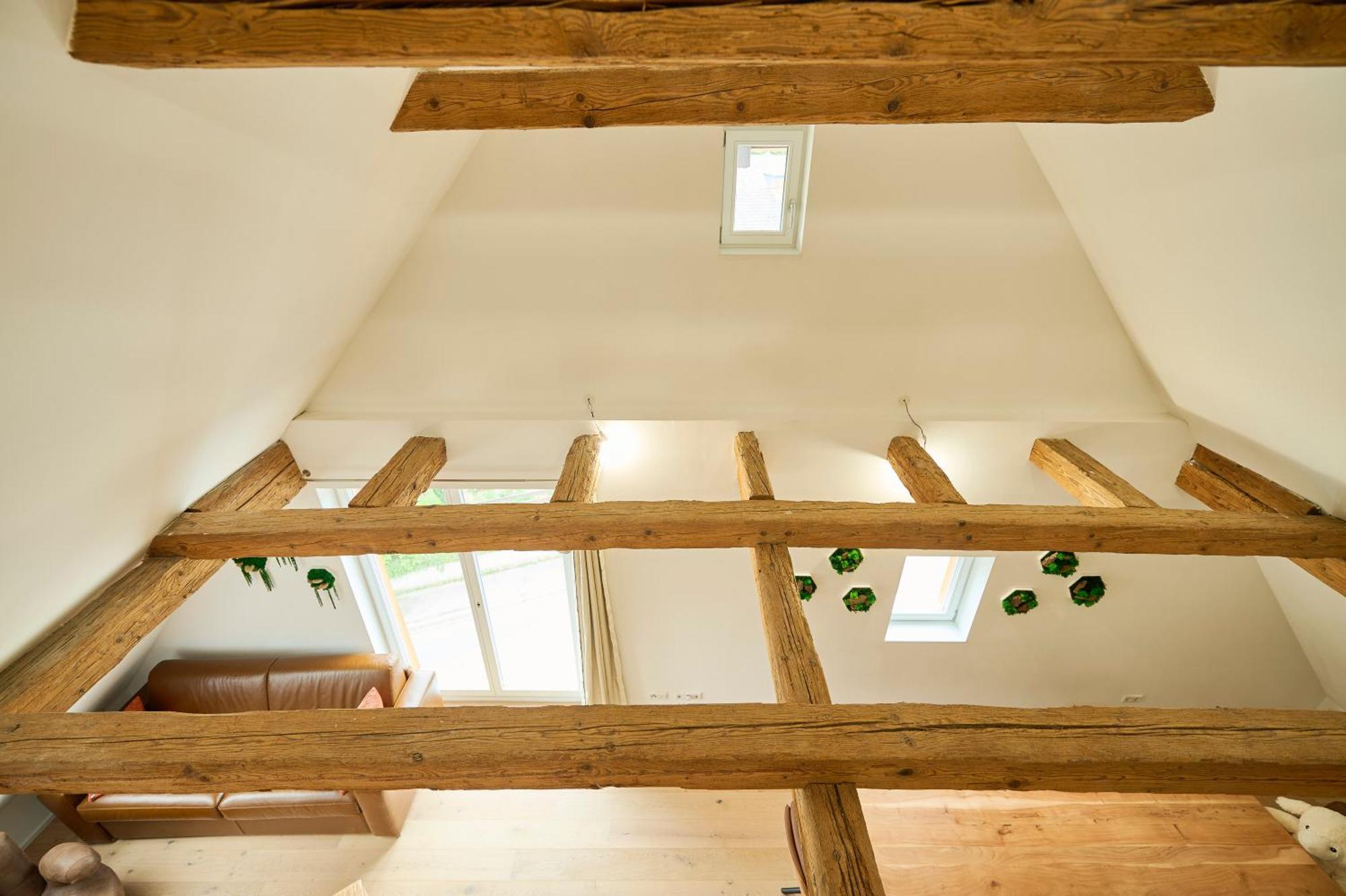 마르크도르프 Wood World Luxury - Massage - Bergblick - Tranpolin- Parken 아파트 외부 사진